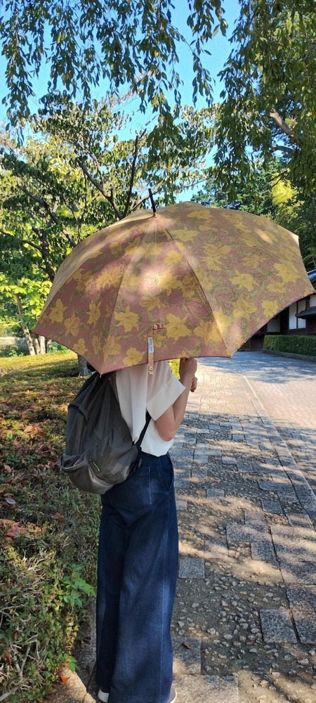 古谷洋傘店で作られた傘を日傘にして活用している